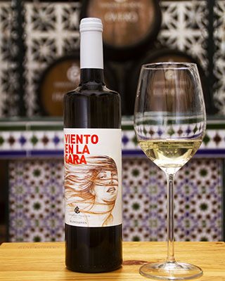 Viento en la cara 2019